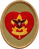 Life Scout Badge