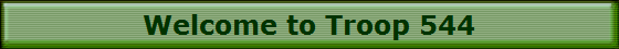 Welcome to Troop 544